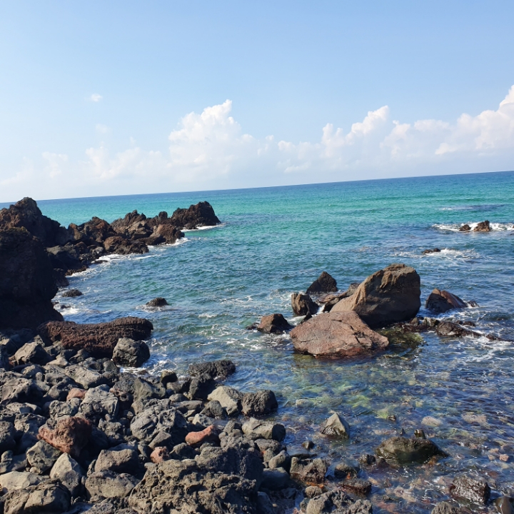 👣3박 4일 제주도 뚜벅이 여행👣 - 1일 차 | 인스티즈