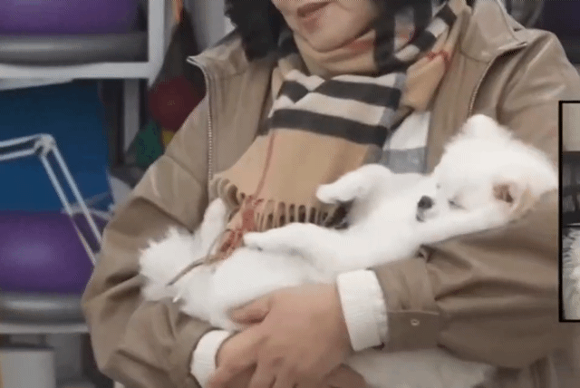 유기견센터에서 기안84 어머니 만나자마자 품에서 잠들고 입양 첫날부터 애교 넘치는 강아지 | 인스티즈