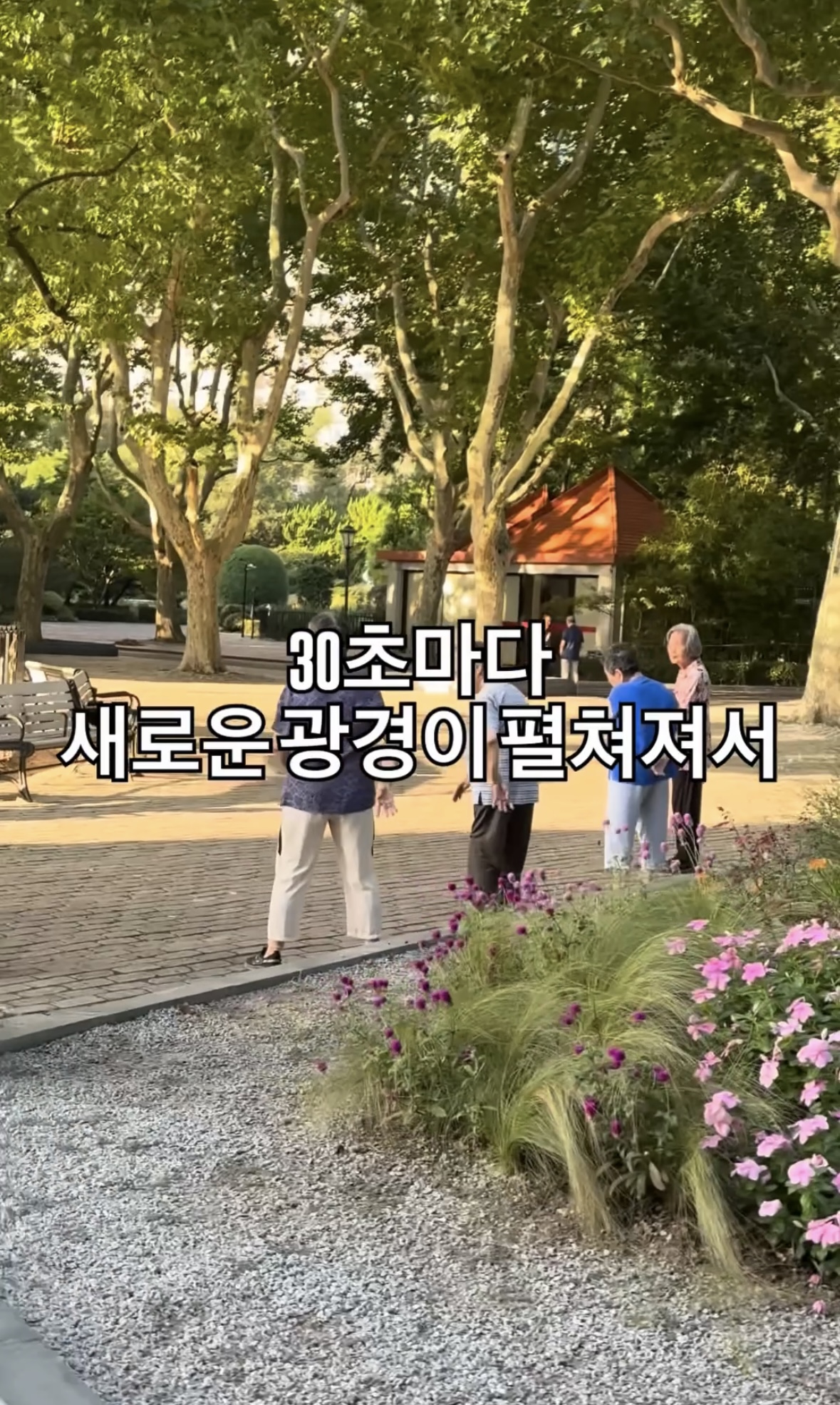 내가 중국에서 러닝하다가 포기한 이유.jpg | 인스티즈