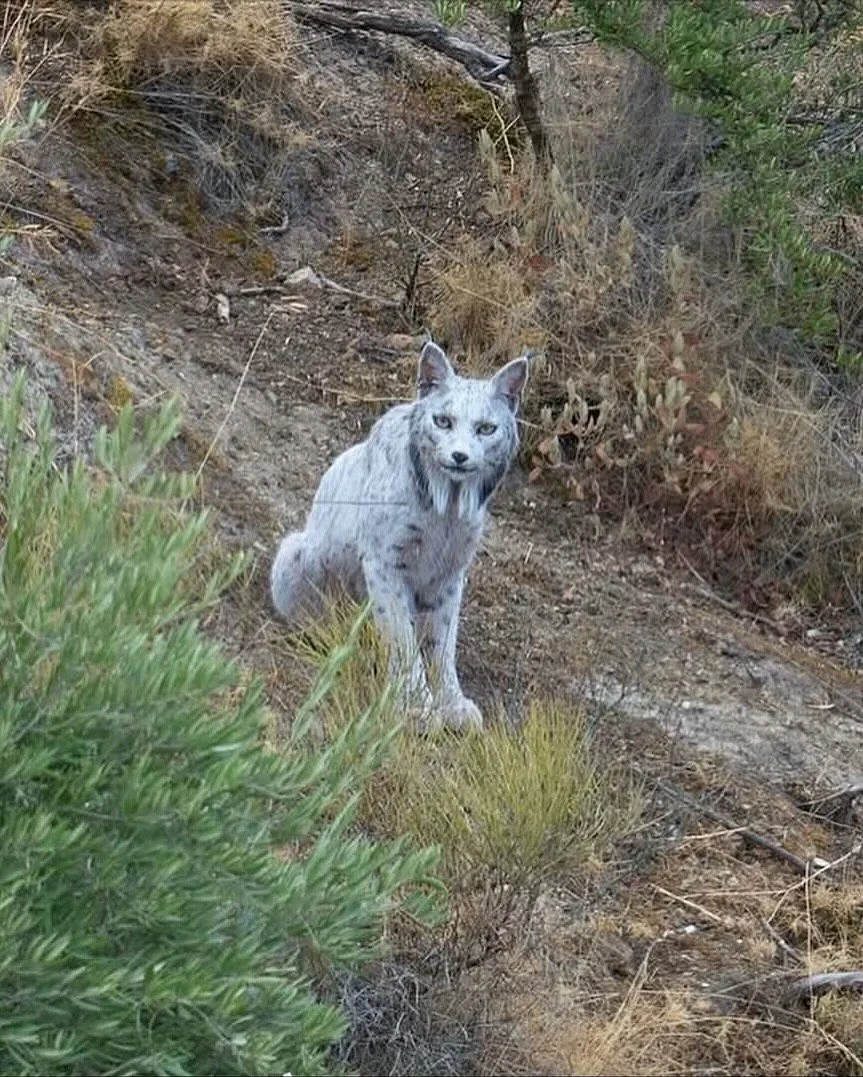 며칠 전 세계 최초로 공개 된 동물.jpg | 인스티즈