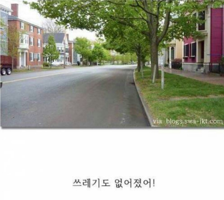 까마귀의 지능에 대한 고찰.jpg | 인스티즈