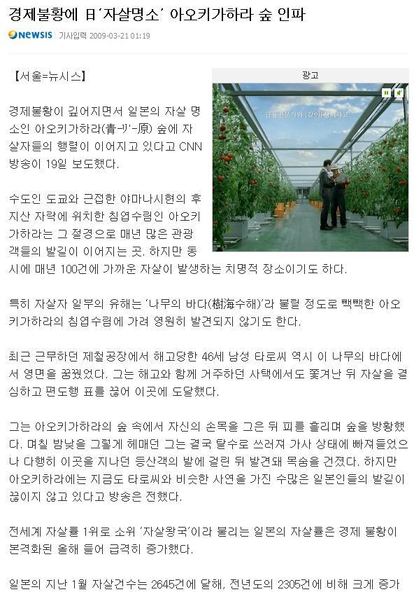 일본의 죽음의 숲 (일본 내 자살1위) 아오키가하라 사진. (시체 , 심약자, 비위약한사람들 보면안됨) | 인스티즈