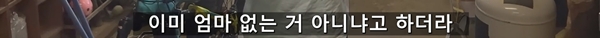 아기 고양이 냥줍했는데 반응 난리난 일본 유튜버.jpg | 인스티즈