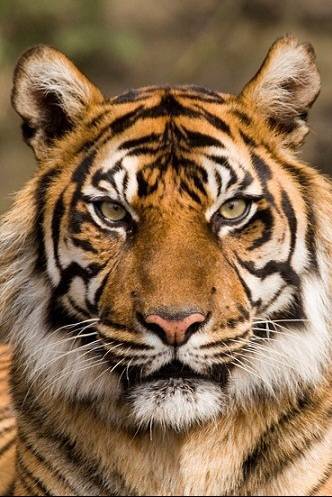 증명사진인데 누가 제일 잘생겼어? | 인스티즈