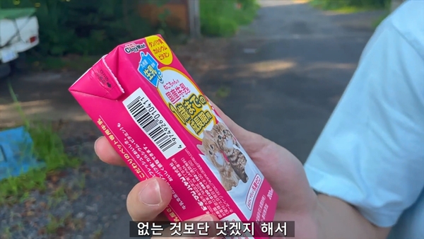 아기 고양이 냥줍했는데 반응 난리난 일본 유튜버.jpg | 인스티즈