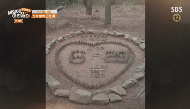 9년동안 매일 바뀌는 산속 의문의 달력.jpg | 인스티즈