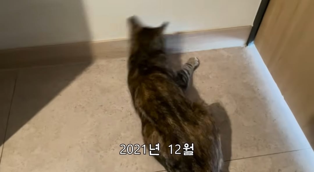 5년만에 haha ha에게 마음을 연 카오 | 인스티즈