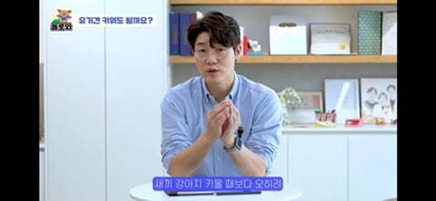 견주 초보일 수록 유기견이 좋은 이유 | 인스티즈