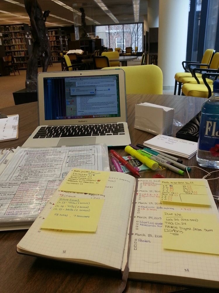 공부란 늘 굴욕적인 것이다. twt | 인스티즈