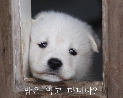 놀리거나 약올릴때 쓰는 짤모음 | 인스티즈
