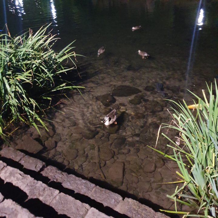 👣3박 4일 제주도 뚜벅이 여행👣 - 1일 차 | 인스티즈