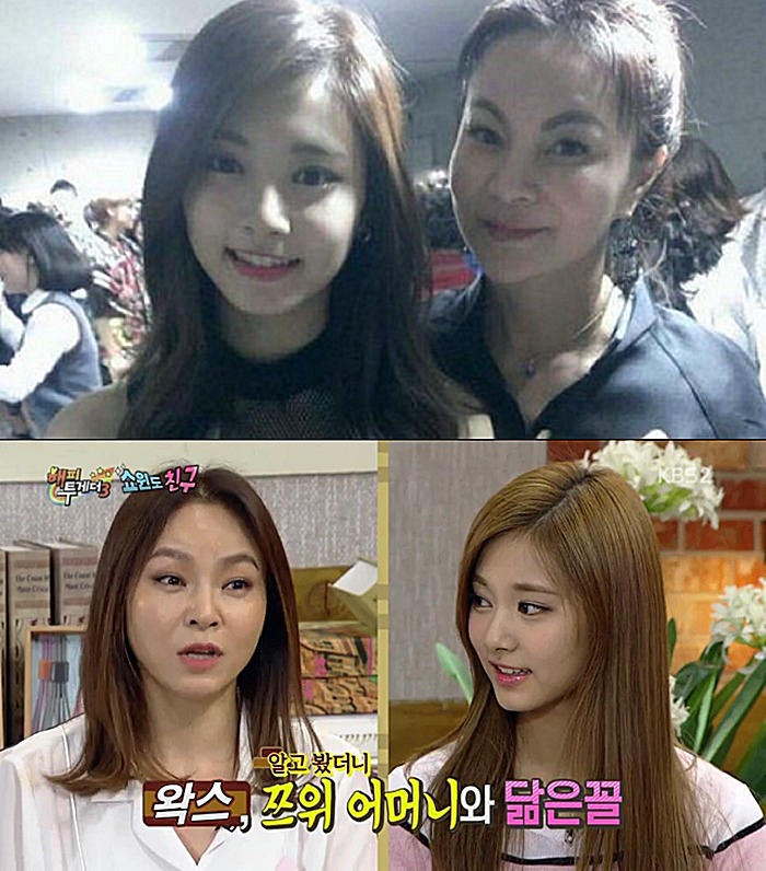 트와이스 가족들 | 인스티즈