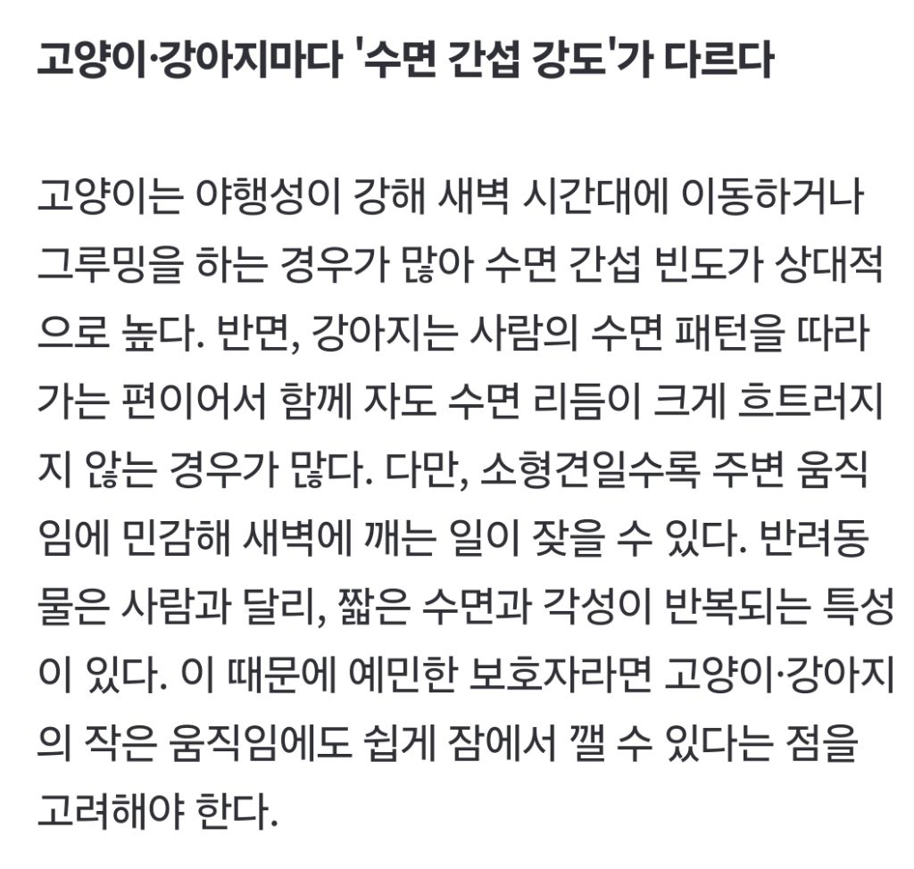 "반려동물과 한 침대에?"… 강아지·고양이와 같이 자면, 어떤 변화가? | 인스티즈