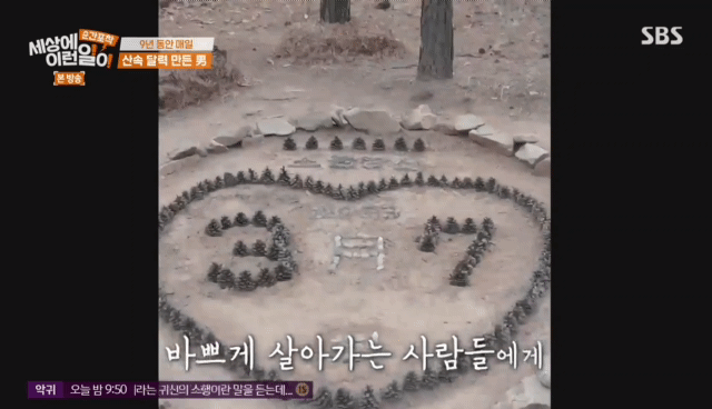 9년동안 매일 바뀌는 산속 의문의 달력.jpg | 인스티즈