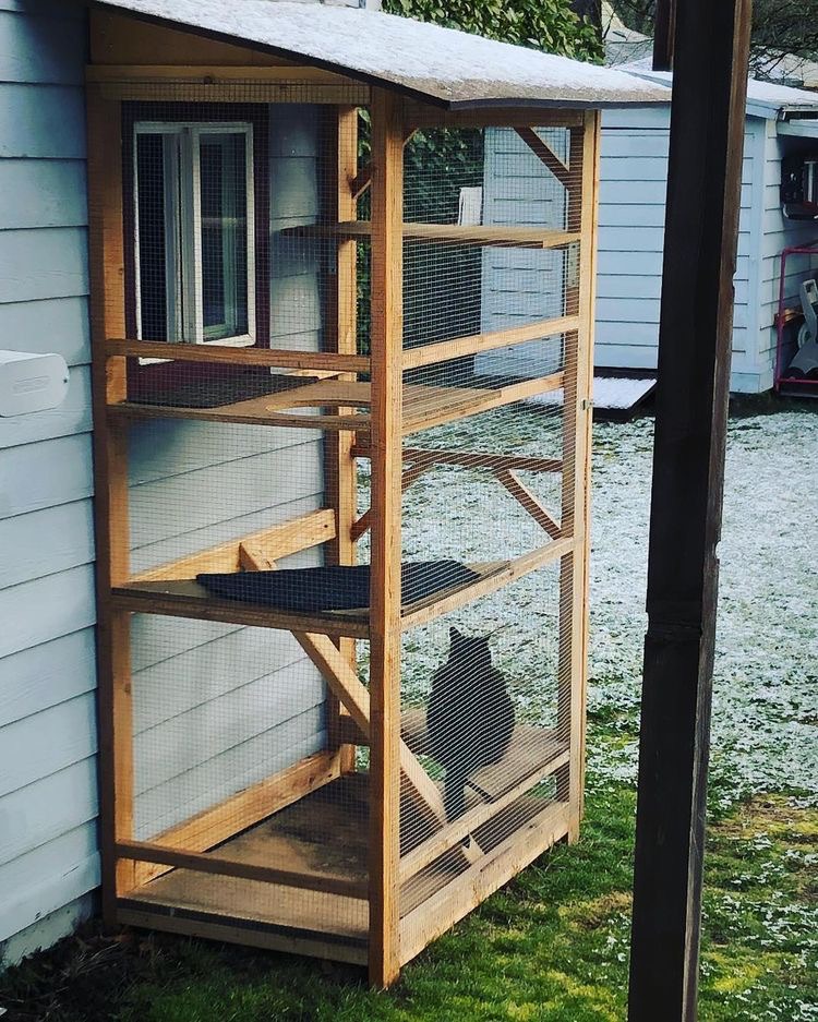 산책 없이 행복한 고양이를 위한 인테리어① - 고양이 정원 | 인스티즈