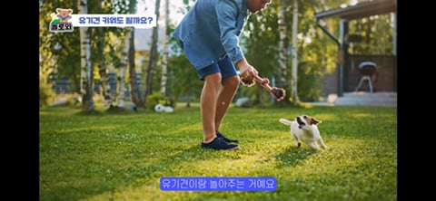 견주 초보일 수록 유기견이 좋은 이유 | 인스티즈