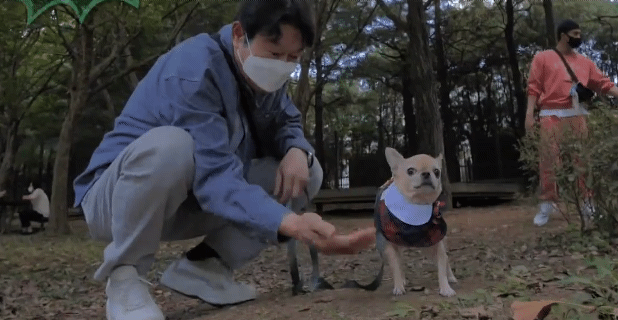 나혼산 캐리하고 간 김응수랑 반려견 쵸파.jpgif | 인스티즈