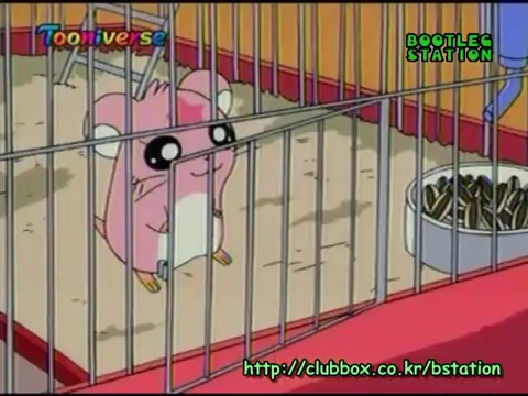 친구가 내 햄스터 보더니 저녁때까지만 자기가 데리고 있겠다고 고집부려서 허락했는데... | 인스티즈