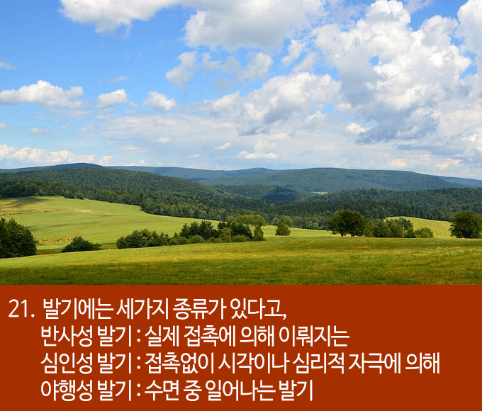 발기에 대한 흥미로운 22가지 사실들 | 인스티즈