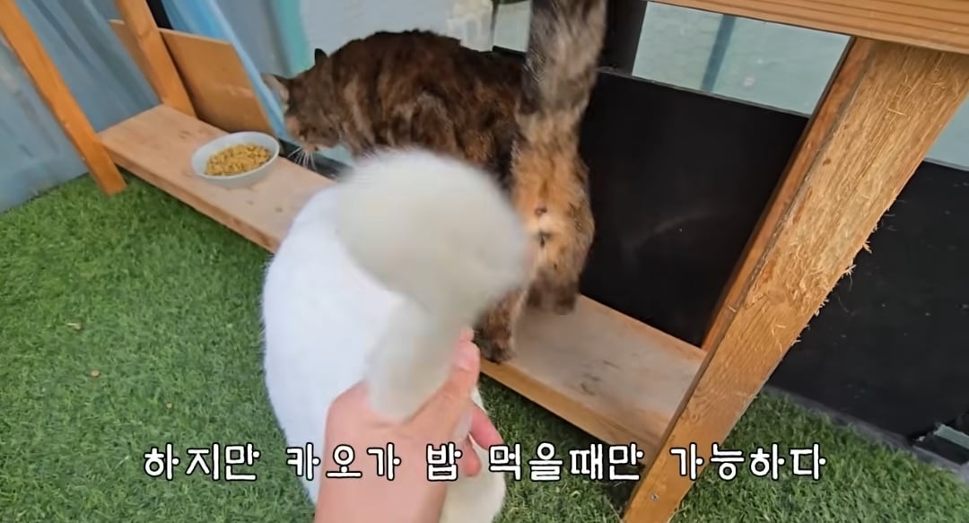 5년만에 haha ha에게 마음을 연 카오 | 인스티즈