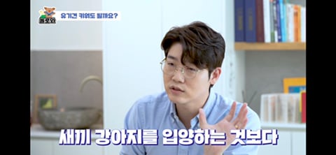 견주 초보일 수록 유기견이 좋은 이유 | 인스티즈