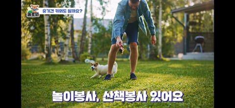 견주 초보일 수록 유기견이 좋은 이유 | 인스티즈