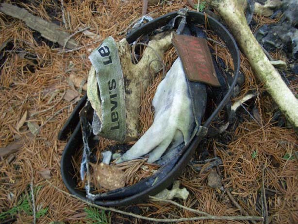 일본의 죽음의 숲 (일본 내 자살1위) 아오키가하라 사진. (시체 , 심약자, 비위약한사람들 보면안됨) | 인스티즈