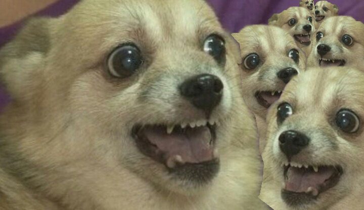 빵집 여시들 알바할 때 공감 | 인스티즈