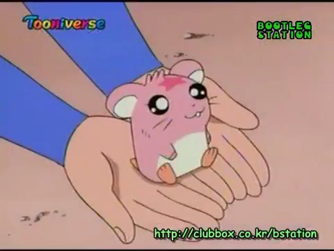 친구가 내 햄스터 보더니 저녁때까지만 자기가 데리고 있겠다고 고집부려서 허락했는데... | 인스티즈