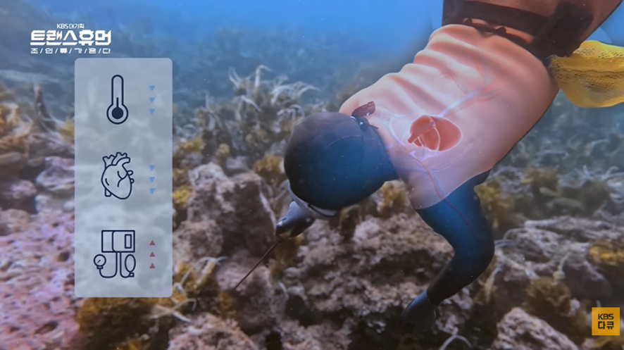 너무 놀라워서 해외에서 연구감이라는 우리나라 직업 | 인스티즈