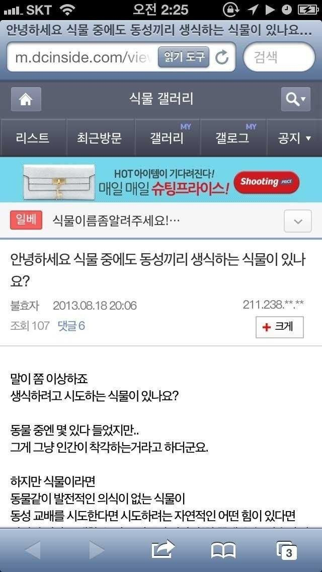 식물갤러리 동성애 레전드 답변과 4년 후 글쓴이의 답변...jpg | 인스티즈