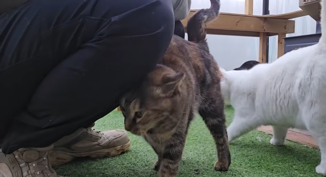 5년만에 haha ha에게 마음을 연 카오 | 인스티즈