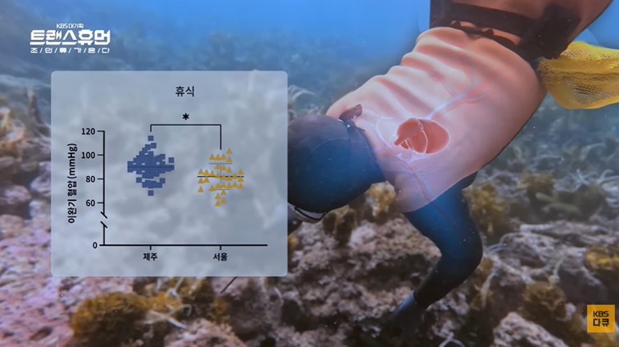 너무 놀라워서 해외에서 연구감이라는 우리나라 직업 | 인스티즈