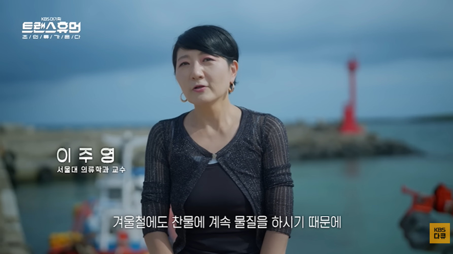 너무 놀라워서 해외에서 연구감이라는 우리나라 직업 | 인스티즈