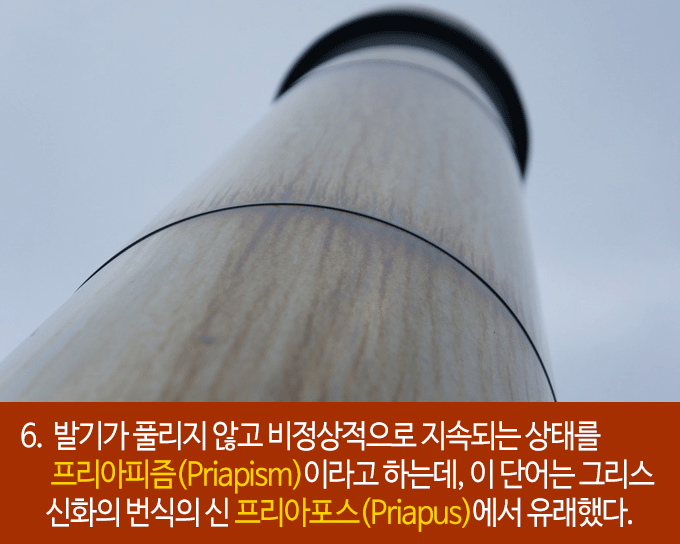 발기에 대한 흥미로운 22가지 사실들 | 인스티즈