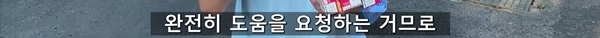아기 고양이 냥줍했는데 반응 난리난 일본 유튜버.jpg | 인스티즈