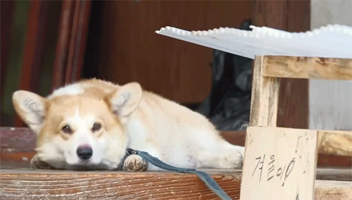김혜수가 유해진이랑 사귀던 당시 야심만만 나와서 한 말.jpg | 인스티즈