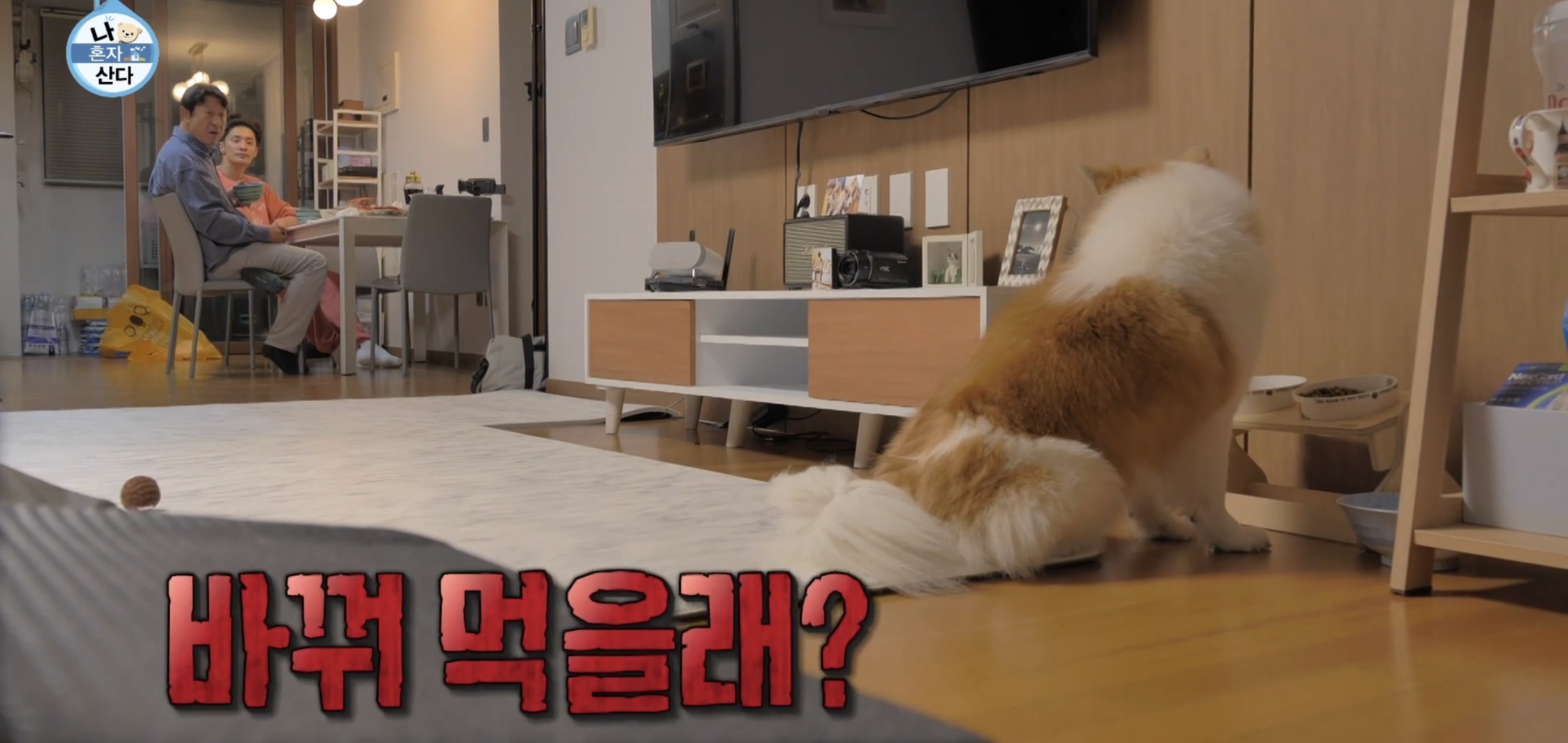 나혼산 캐리하고 간 김응수랑 반려견 쵸파.jpgif | 인스티즈