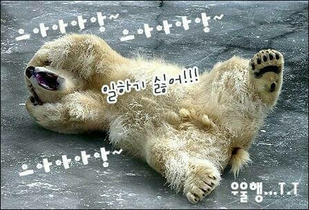 울거나 슬프거나 속상할때 쓰는 짤모음 | 인스티즈