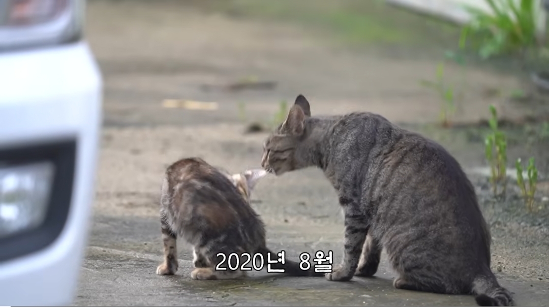 5년만에 haha ha에게 마음을 연 카오 | 인스티즈