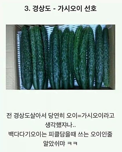 경상도 사람 : 오이로 자위를 어떻게해,,,,? | 인스티즈