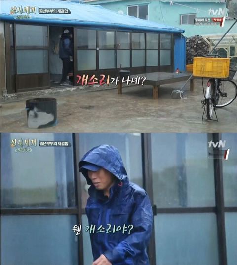 놀리거나 약올릴때 쓰는 짤모음 | 인스티즈