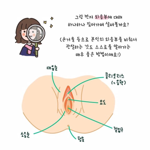 클리토리스로 홍콩가기 - 자위, 애무법 | 인스티즈
