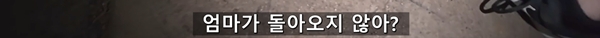 아기 고양이 냥줍했는데 반응 난리난 일본 유튜버.jpg | 인스티즈