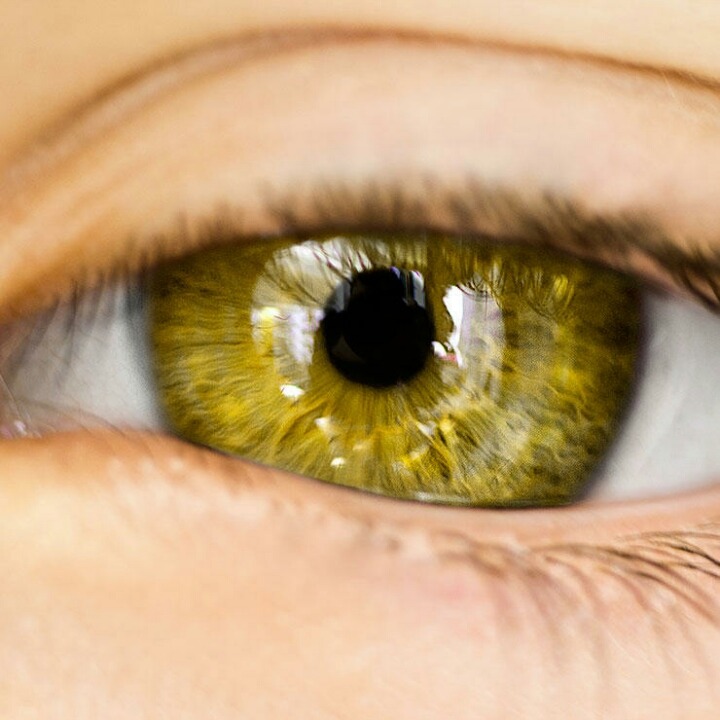 서양에서 파란눈보다 희귀하다는 눈동자 | 인스티즈