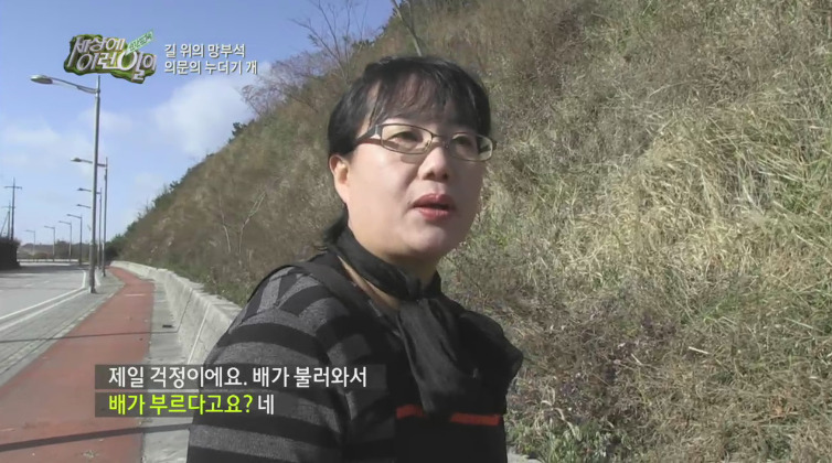 [세상에이런일이] 도로위에 망부석이 되서 주인을 기다리는 강아지.jpg | 인스티즈