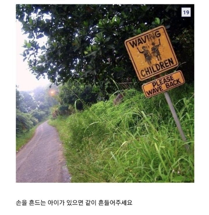 솔직히 귀신이야기보다 이런게 더 무서움.twt | 인스티즈