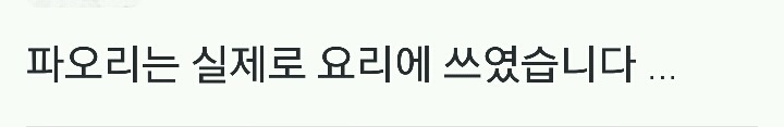 나만 몰랐던 포켓몬 파오리의 사용처.twt | 인스티즈