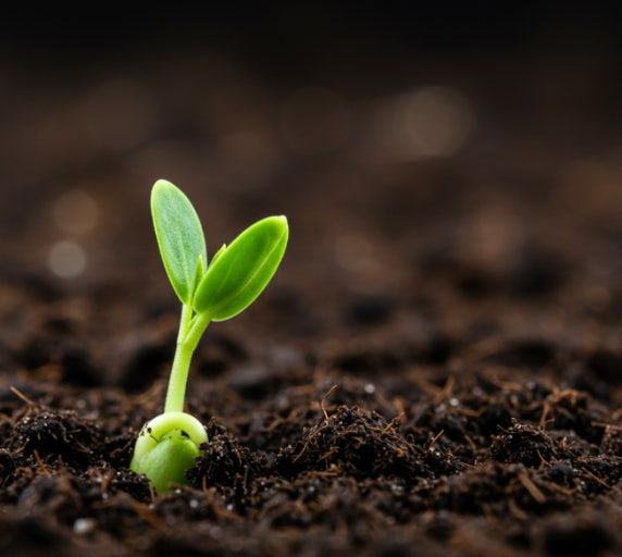 돈 많은 사주 특징 | 인스티즈