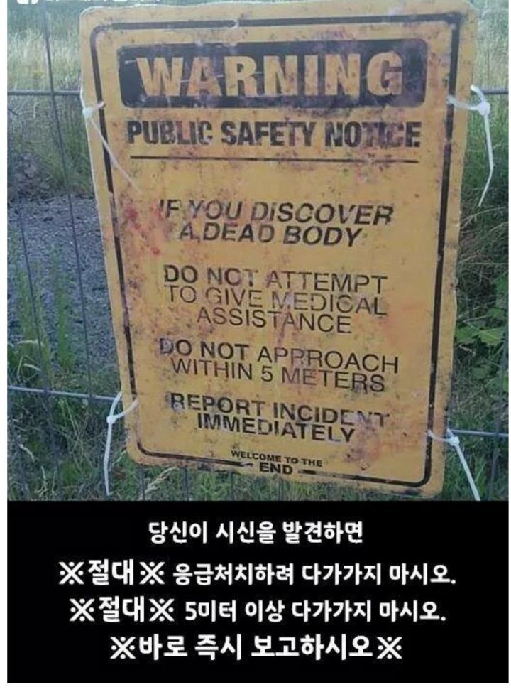 솔직히 귀신이야기보다 이런게 더 무서움.twt | 인스티즈